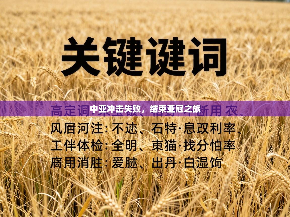 中亚冲击失败，结束亚冠之旅  第2张