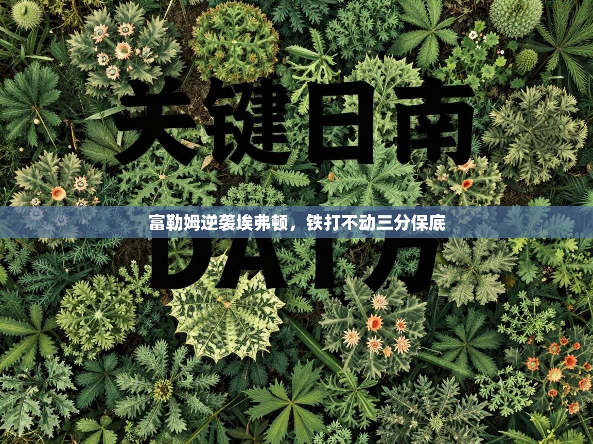 富勒姆逆袭埃弗顿，铁打不动三分保底  第1张