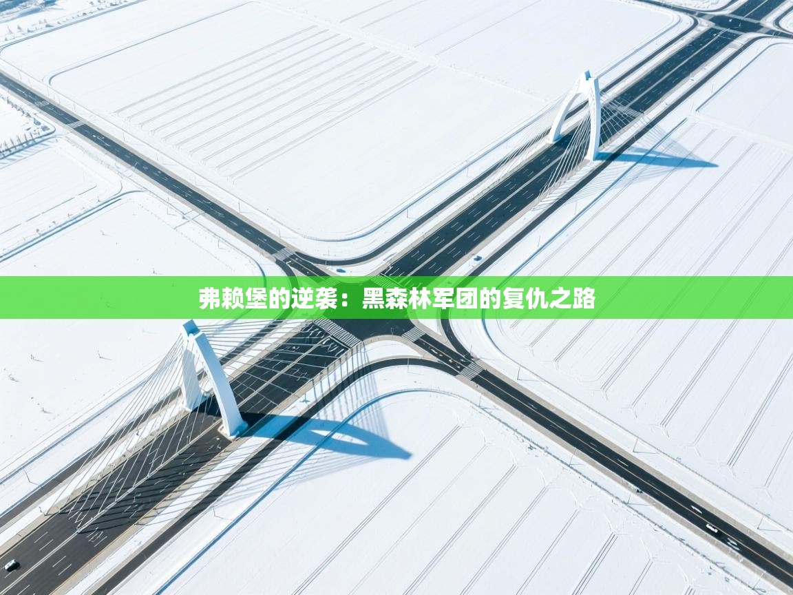 弗赖堡的逆袭：黑森林军团的复仇之路  第1张