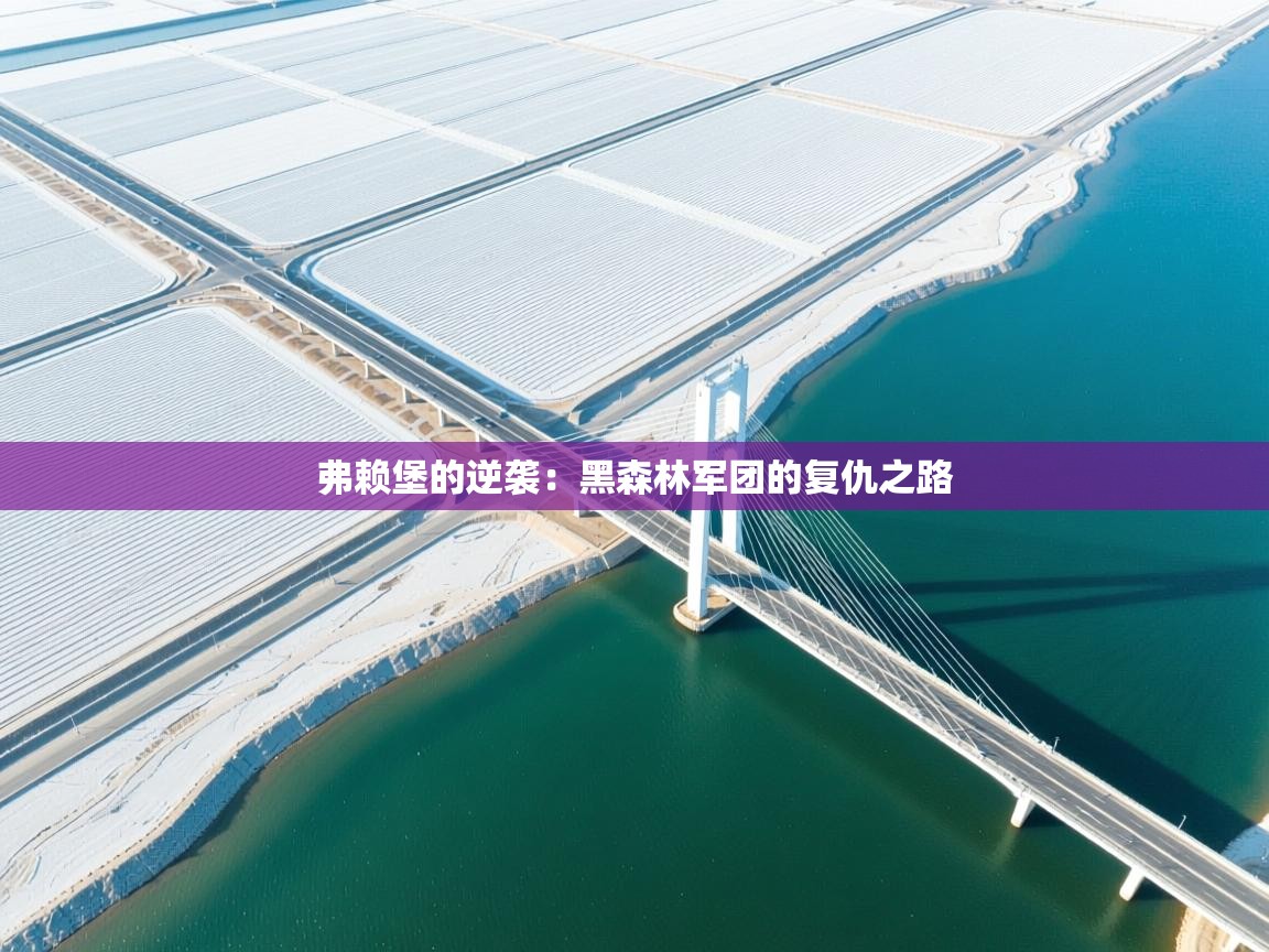 弗赖堡的逆袭：黑森林军团的复仇之路  第2张