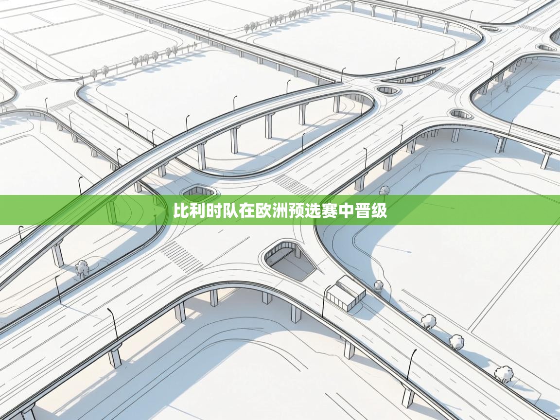 比利时队在欧洲预选赛中晋级  第1张