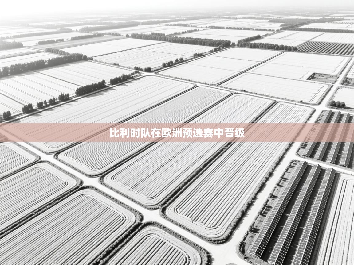 比利时队在欧洲预选赛中晋级  第2张