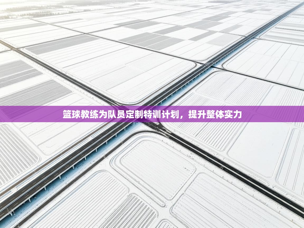篮球教练为队员定制特训计划，提升整体实力  第2张