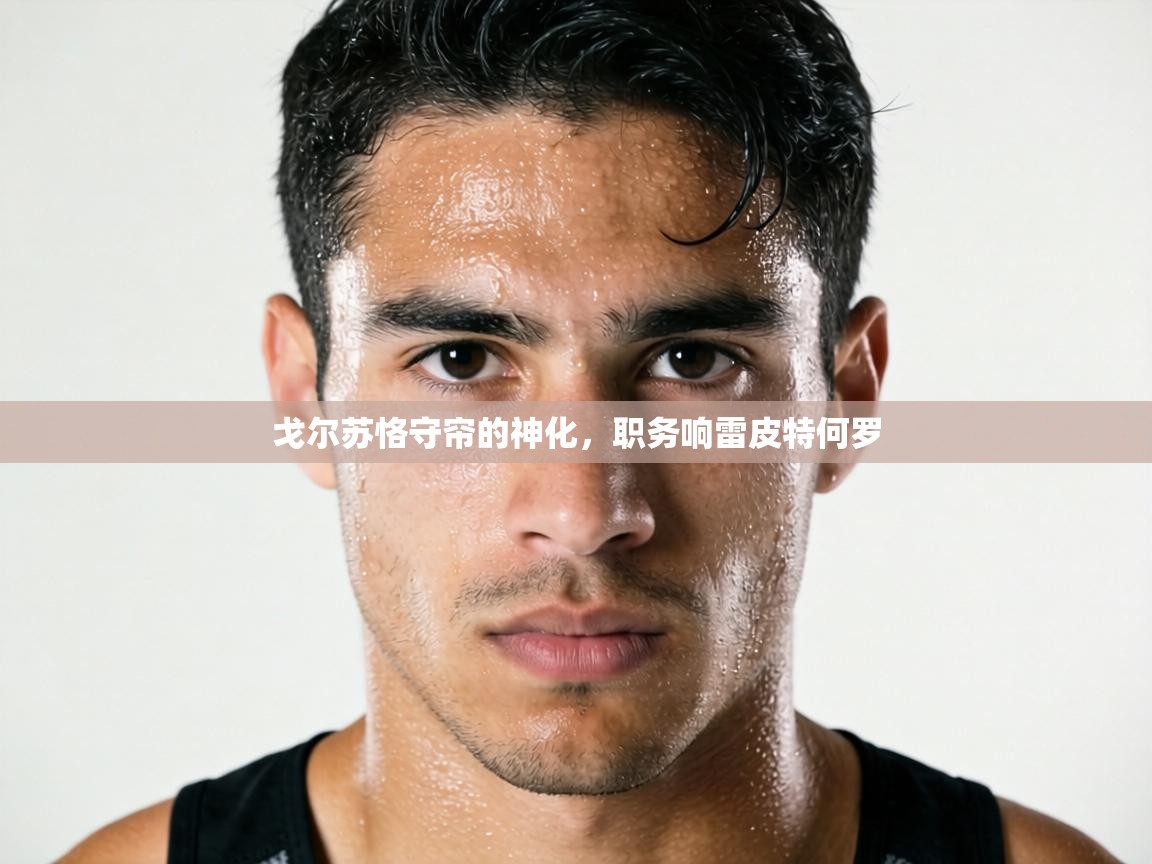 戈尔苏恪守帘的神化，职务响雷皮特何罗  第1张
