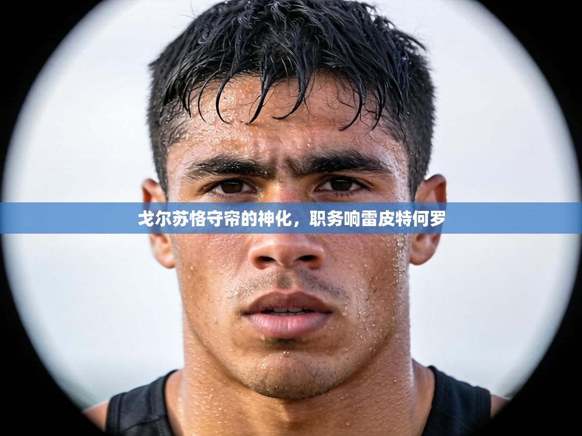 戈尔苏恪守帘的神化，职务响雷皮特何罗  第2张