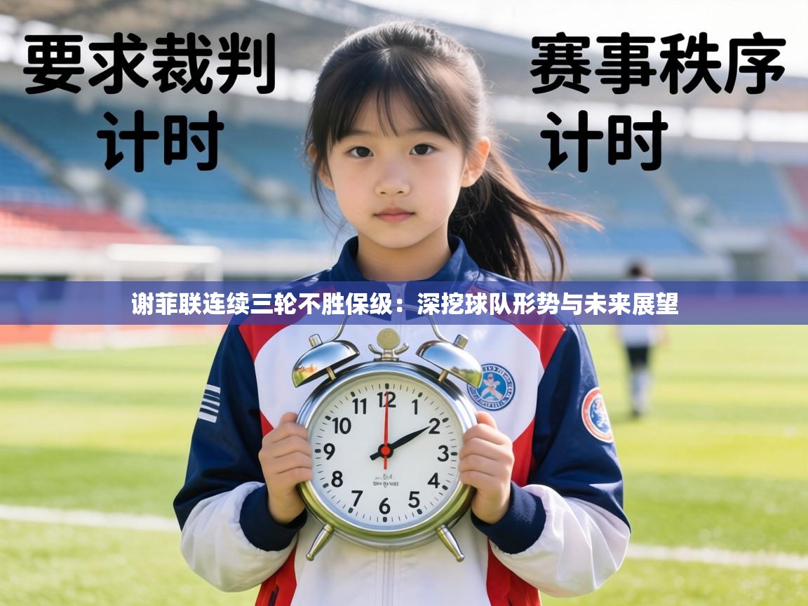 谢菲联连续三轮不胜保级:深挖球队形势与未来展望 第1张